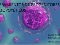 TÉCNICO/A SUPERIOR DE LABORATORIO CLÍNICO Y BIOMÉDICO-TÉCNICO/A SUPERIOR ANATOMÍA PATOLÓGICA Y CITODIAGNÓSTICO.. 1ª CONVOCATORIA 2025, CURSO PROCESAMIENTO DE PROGENITORES HEMATOPOYÉTICOS.