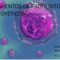 2ª CONVOCATORIA 2025 CURSO PROCESAMIENTO DE PROGENITORES HEMATOPOYÉTICOS.TÉCNICO/A SUPERIOR DE LABORATORIO CLÍNICO Y BIOMÉDICO